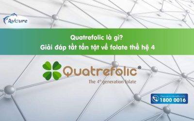 Quatrefolic là gì? Giải đáp tất tần tật về folate thế hệ 4